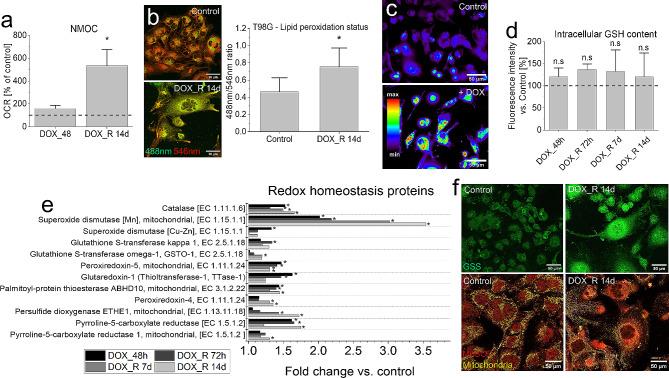 https://cdn.ncbi.nlm.nih.gov/pmc/blobs/3a5d/11318163/ecb31ec103f9/12967_2024_5541_Fig5_HTML.jpg
