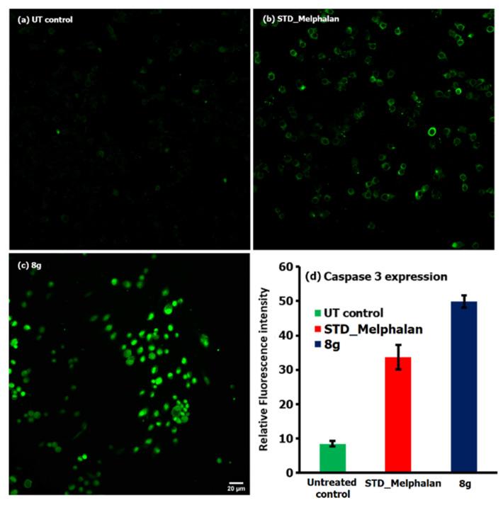 https://cdn.ncbi.nlm.nih.gov/pmc/blobs/3a5d/7730040/15694d1cc92c/molecules-25-05581-g007.jpg