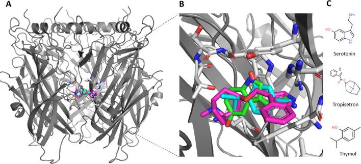 https://cdn.ncbi.nlm.nih.gov/pmc/blobs/3a5f/7431530/2aae53a2efdd/41598_2020_70420_Fig5_HTML.jpg