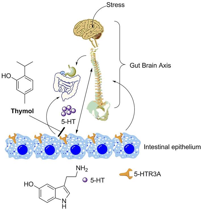 https://cdn.ncbi.nlm.nih.gov/pmc/blobs/3a5f/7431530/8925bd18fca6/41598_2020_70420_Fig7_HTML.jpg