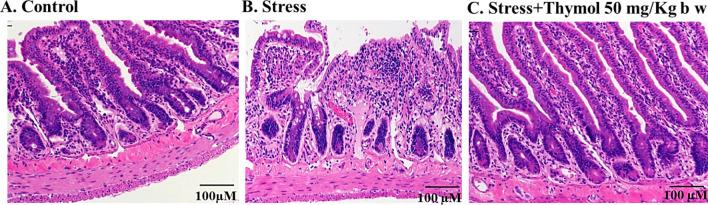 https://cdn.ncbi.nlm.nih.gov/pmc/blobs/3a5f/7431530/b7981361d288/41598_2020_70420_Fig3_HTML.jpg