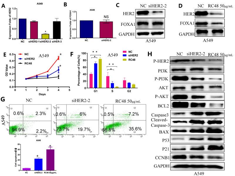 https://cdn.ncbi.nlm.nih.gov/pmc/blobs/3a60/11493013/1febccac3e3e/jcav15p5863g004.jpg