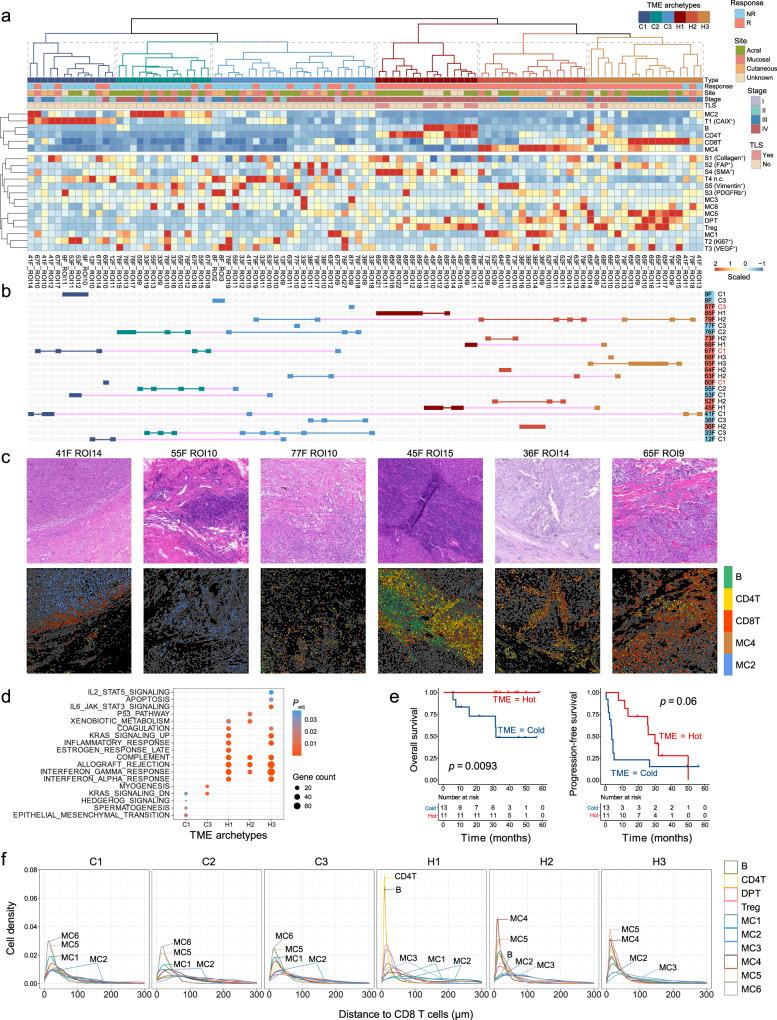 https://cdn.ncbi.nlm.nih.gov/pmc/blobs/3a60/9587266/183b3136c384/43856_2022_197_Fig4_HTML.jpg