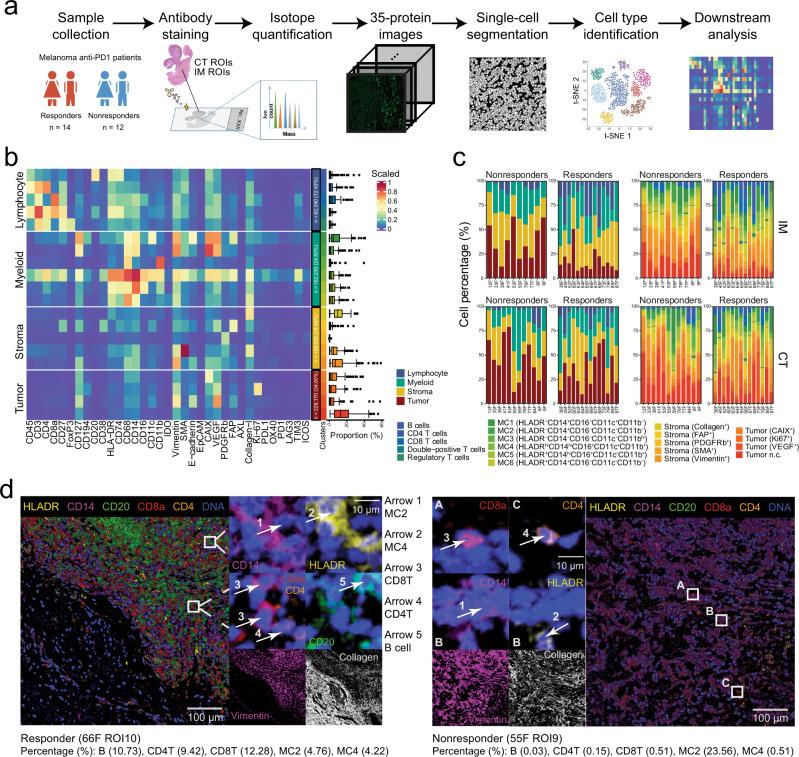 https://cdn.ncbi.nlm.nih.gov/pmc/blobs/3a60/9587266/d0a732302a22/43856_2022_197_Fig1_HTML.jpg