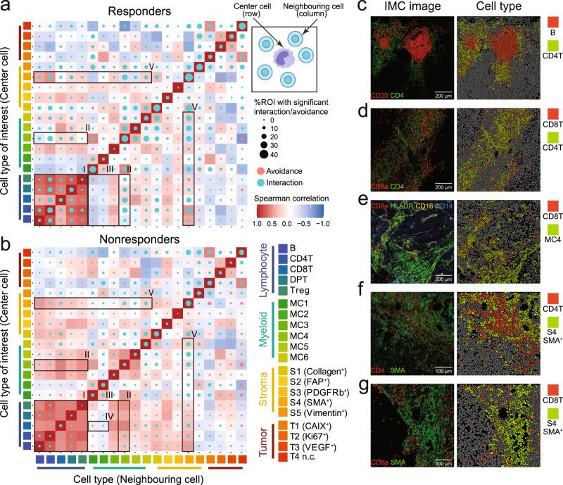https://cdn.ncbi.nlm.nih.gov/pmc/blobs/3a60/9587266/f618712c65b6/43856_2022_197_Fig3_HTML.jpg