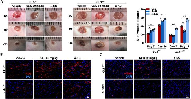 https://cdn.ncbi.nlm.nih.gov/pmc/blobs/3a62/12095913/03a7af17c1d1/research.0706.fig.010.jpg