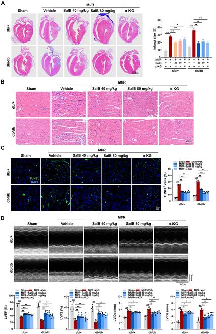 https://cdn.ncbi.nlm.nih.gov/pmc/blobs/3a62/12095913/19fcbfbbe23a/research.0706.fig.005.jpg