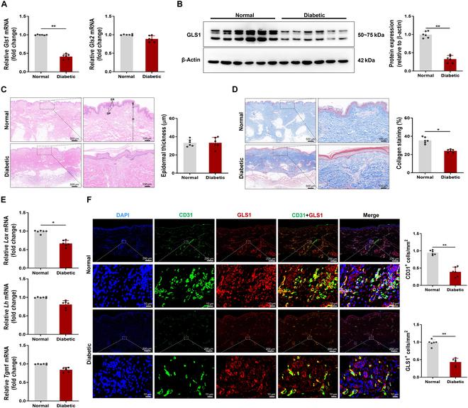 https://cdn.ncbi.nlm.nih.gov/pmc/blobs/3a62/12095913/259e0d4e156b/research.0706.fig.001.jpg