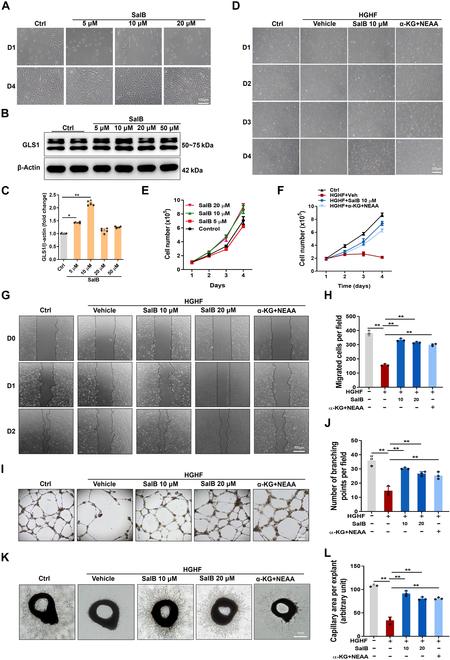 https://cdn.ncbi.nlm.nih.gov/pmc/blobs/3a62/12095913/2a0e6760ce7c/research.0706.fig.004.jpg