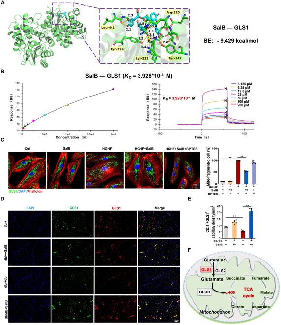 https://cdn.ncbi.nlm.nih.gov/pmc/blobs/3a62/12095913/3a3e19ba2871/research.0706.fig.003.jpg