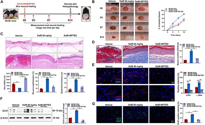 https://cdn.ncbi.nlm.nih.gov/pmc/blobs/3a62/12095913/5e55cec41c0c/research.0706.fig.009.jpg