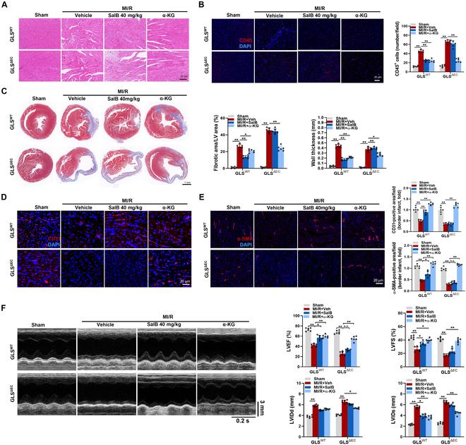 https://cdn.ncbi.nlm.nih.gov/pmc/blobs/3a62/12095913/70024d413743/research.0706.fig.008.jpg