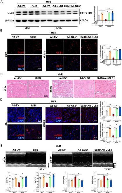 https://cdn.ncbi.nlm.nih.gov/pmc/blobs/3a62/12095913/cf7a87e89124/research.0706.fig.007.jpg