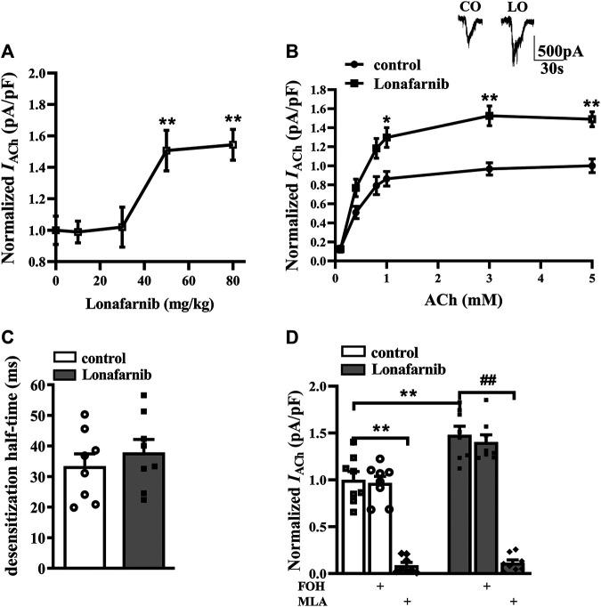 https://cdn.ncbi.nlm.nih.gov/pmc/blobs/3a62/7801264/19d5d1772825/fphar-11-589780-g001.jpg