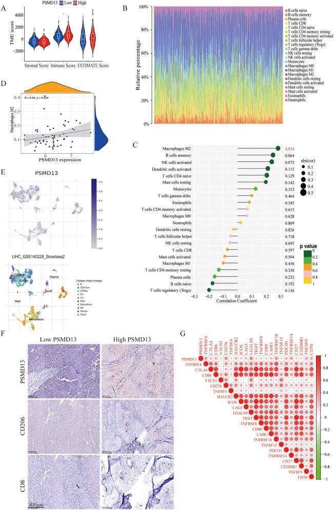 https://cdn.ncbi.nlm.nih.gov/pmc/blobs/3a65/11880097/439752bb954c/335_2024_10097_Fig6_HTML.jpg