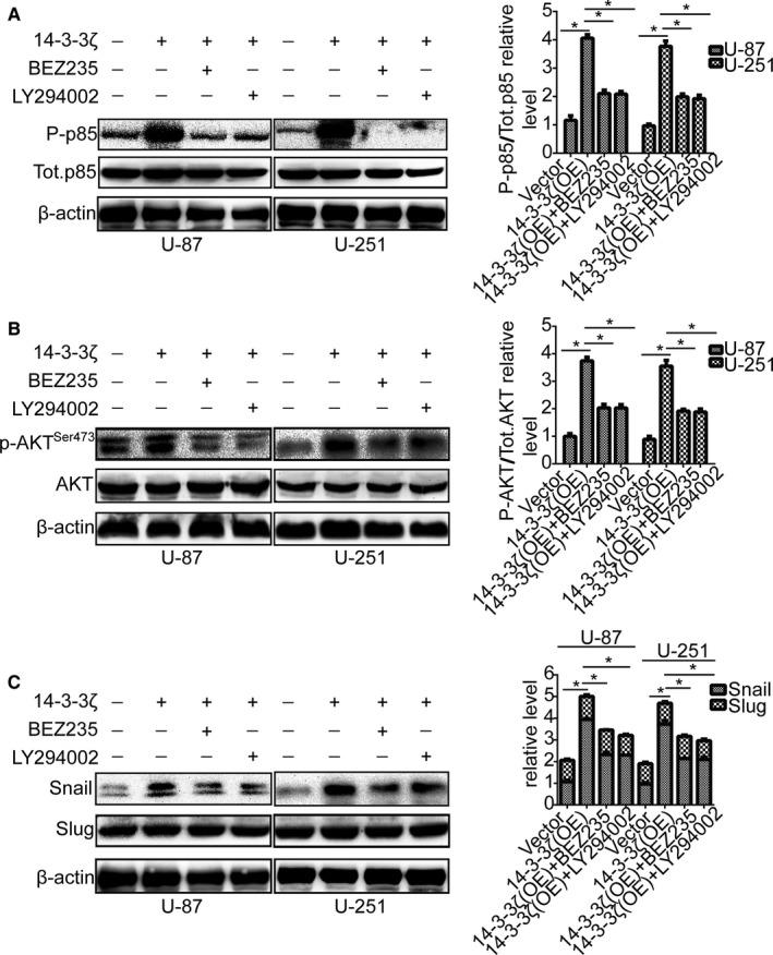 https://cdn.ncbi.nlm.nih.gov/pmc/blobs/3a65/6382716/a1bee138c622/CAM4-8-783-g005.jpg