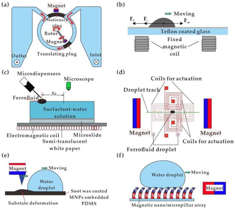 https://cdn.ncbi.nlm.nih.gov/pmc/blobs/3a67/8946071/9760d1bcaba3/biosensors-12-00156-g003.jpg