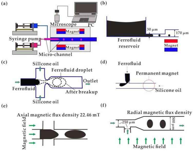 https://cdn.ncbi.nlm.nih.gov/pmc/blobs/3a67/8946071/99e6f7323157/biosensors-12-00156-g001.jpg