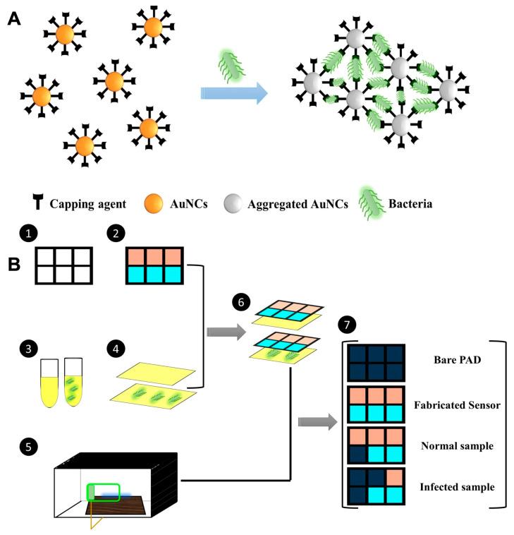 https://cdn.ncbi.nlm.nih.gov/pmc/blobs/3a69/10255701/6f5864c1463c/sensors-23-05053-g001.jpg