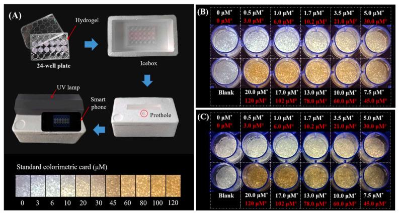 https://cdn.ncbi.nlm.nih.gov/pmc/blobs/3a69/10255701/cdeee952d8d8/sensors-23-05053-g004.jpg