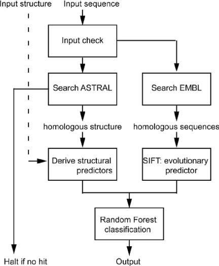 https://cdn.ncbi.nlm.nih.gov/pmc/blobs/3a69/1160133/5a2e4e344c9f/gki372f1.jpg