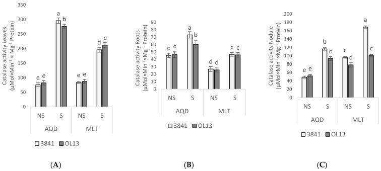 https://cdn.ncbi.nlm.nih.gov/pmc/blobs/3a69/8879231/36b4801bcb3b/plants-11-00515-g007.jpg