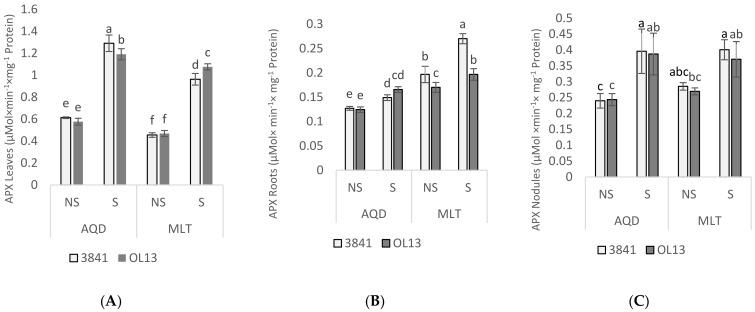 https://cdn.ncbi.nlm.nih.gov/pmc/blobs/3a69/8879231/6f923b20bc70/plants-11-00515-g008.jpg