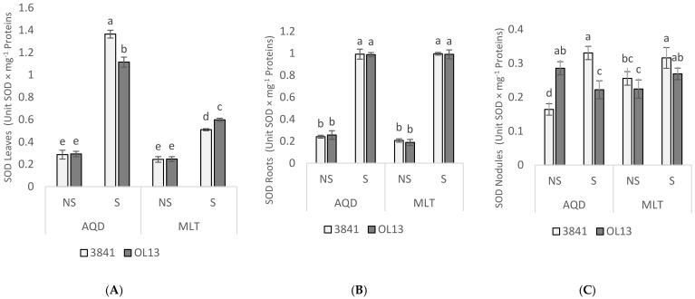 https://cdn.ncbi.nlm.nih.gov/pmc/blobs/3a69/8879231/9cea5d47c46c/plants-11-00515-g006.jpg