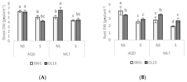 https://cdn.ncbi.nlm.nih.gov/pmc/blobs/3a69/8879231/b89fc0bee2f8/plants-11-00515-g001.jpg