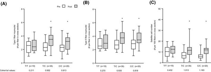 https://cdn.ncbi.nlm.nih.gov/pmc/blobs/3a6a/8252512/175eda3b64b5/FSB2-35-0-g002.jpg