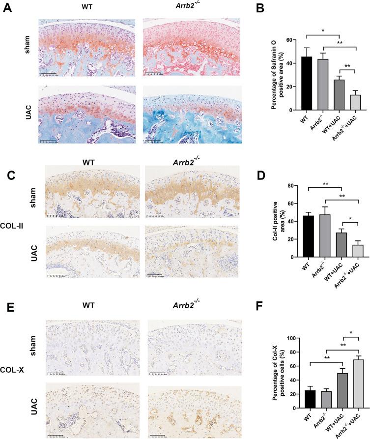 https://cdn.ncbi.nlm.nih.gov/pmc/blobs/3a6c/11154996/233423741499/12891_2024_7558_Fig2_HTML.jpg