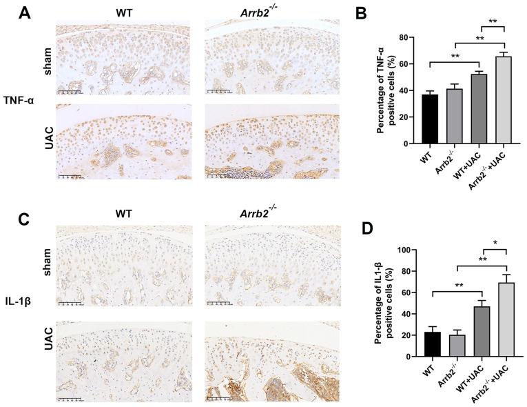 https://cdn.ncbi.nlm.nih.gov/pmc/blobs/3a6c/11154996/68dddf14df3f/12891_2024_7558_Fig4_HTML.jpg