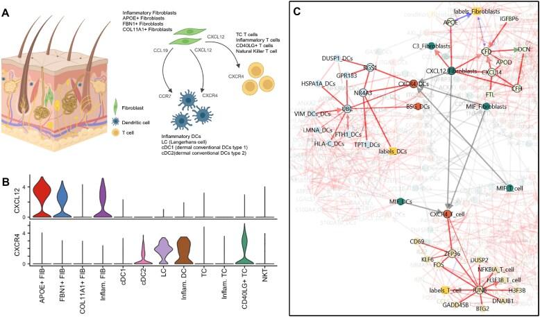 https://cdn.ncbi.nlm.nih.gov/pmc/blobs/3a6e/12230657/5355a46ad778/gkaf404fig3.jpg