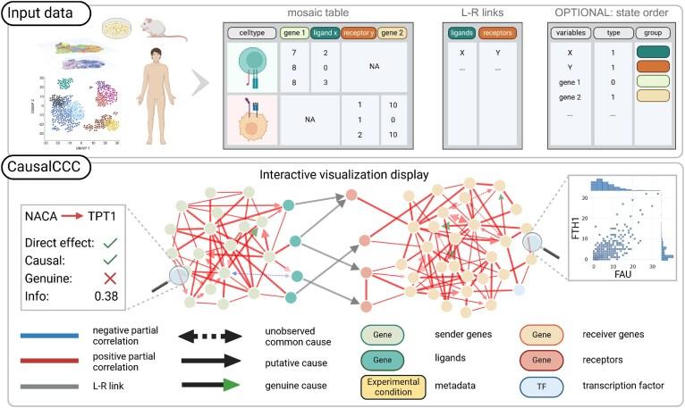 https://cdn.ncbi.nlm.nih.gov/pmc/blobs/3a6e/12230657/d345a326373d/gkaf404fig1.jpg