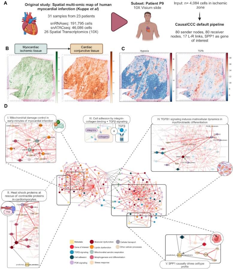 https://cdn.ncbi.nlm.nih.gov/pmc/blobs/3a6e/12230657/f8d122a44c61/gkaf404fig4.jpg