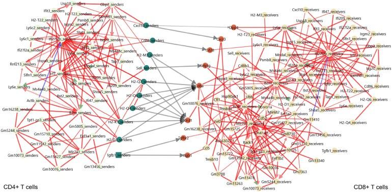 https://cdn.ncbi.nlm.nih.gov/pmc/blobs/3a6e/12230657/fcfcc2f291d4/gkaf404fig2.jpg