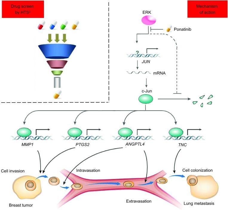 https://cdn.ncbi.nlm.nih.gov/pmc/blobs/3a6e/6338618/4f1302985c9b/13238_2018_533_Fig7_HTML.jpg