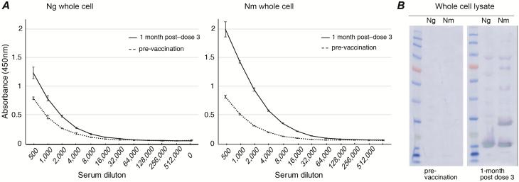 https://cdn.ncbi.nlm.nih.gov/pmc/blobs/3a6e/6743822/8dcfe58e1e5e/ciy1061f0003.jpg