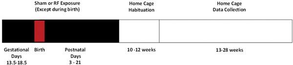 https://cdn.ncbi.nlm.nih.gov/pmc/blobs/3a6f/6790696/61d12cfb42d3/BEM-40-498-g001.jpg