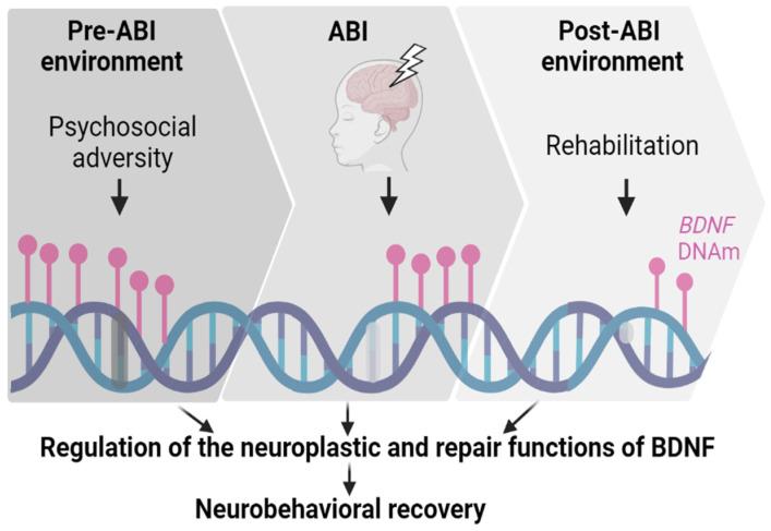 https://cdn.ncbi.nlm.nih.gov/pmc/blobs/3a73/10886547/d0716e3115a2/biomolecules-14-00191-g002.jpg
