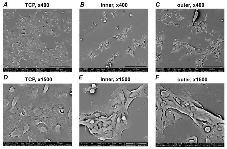 https://cdn.ncbi.nlm.nih.gov/pmc/blobs/3a73/7727678/d350ee797e40/materials-13-05311-g002.jpg