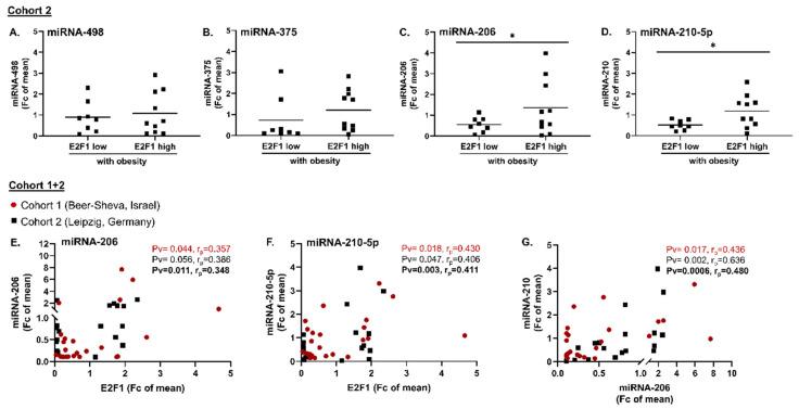 https://cdn.ncbi.nlm.nih.gov/pmc/blobs/3a75/9562862/17c99ccddf7f/cells-11-03046-g004.jpg