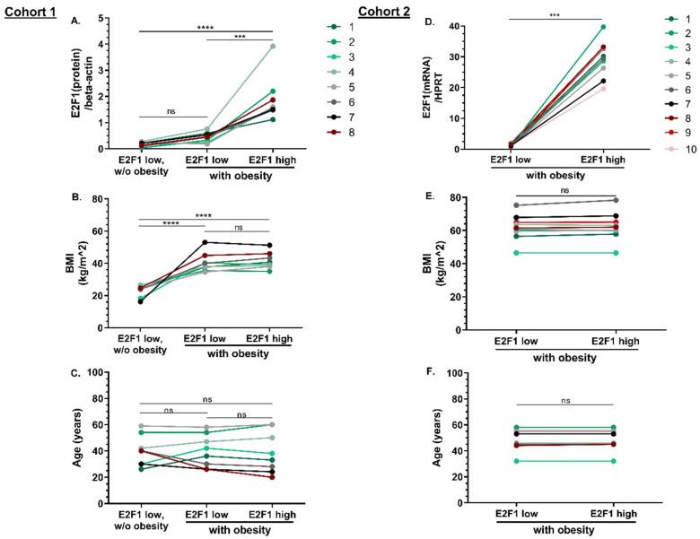 https://cdn.ncbi.nlm.nih.gov/pmc/blobs/3a75/9562862/f7f99944a8d2/cells-11-03046-g001.jpg