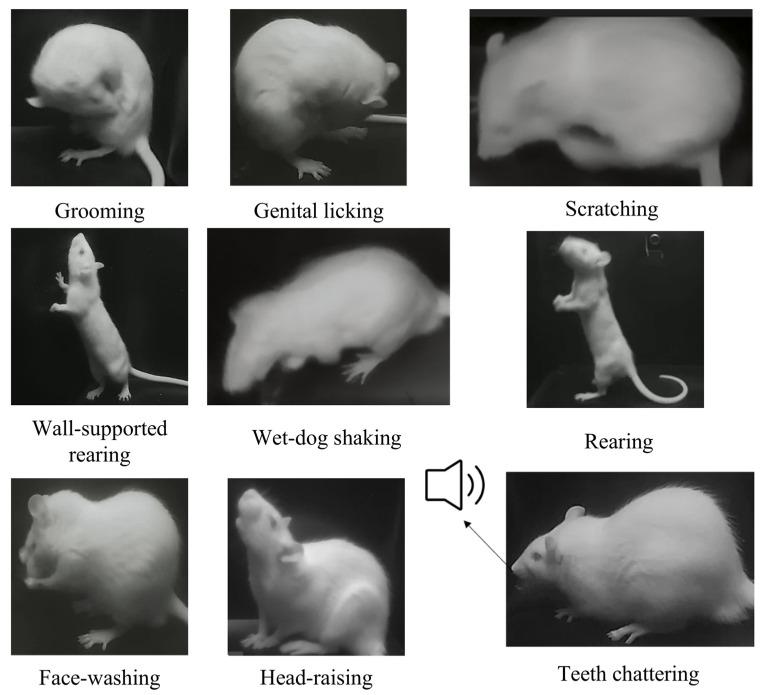 https://cdn.ncbi.nlm.nih.gov/pmc/blobs/3a76/12298654/42ad240735e1/toxics-13-00586-g002.jpg