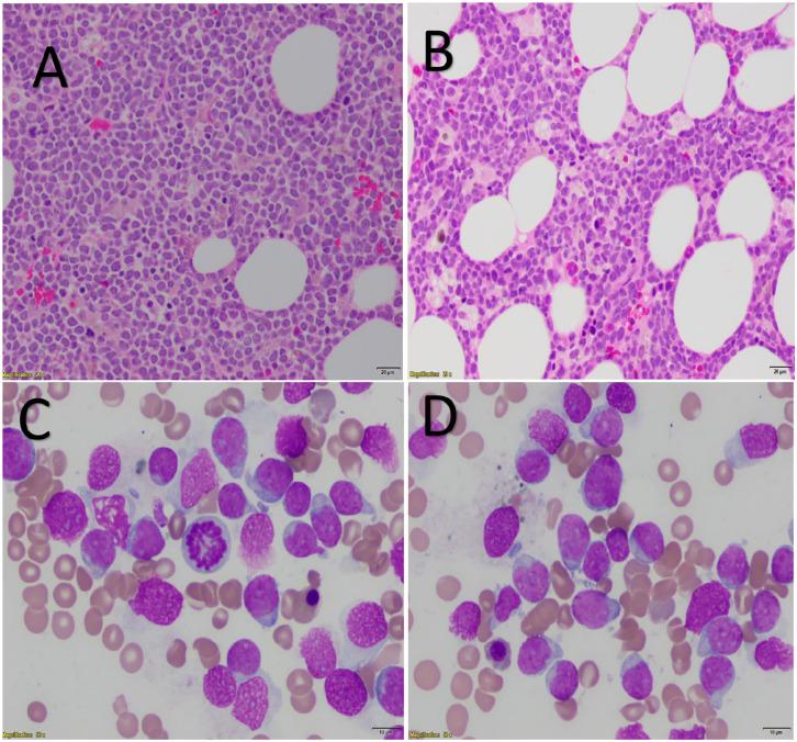 https://cdn.ncbi.nlm.nih.gov/pmc/blobs/3a76/9638685/8628f09883ff/10.1177_23247096221127114-fig2.jpg