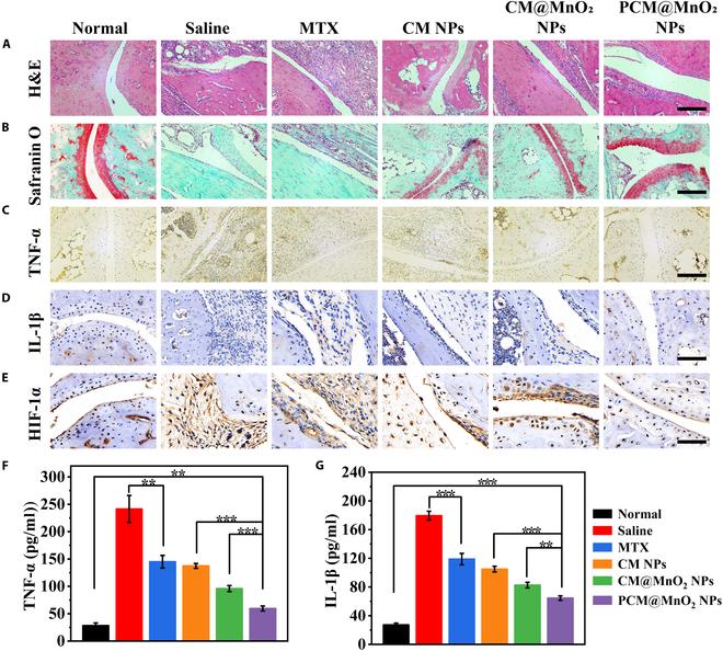 https://cdn.ncbi.nlm.nih.gov/pmc/blobs/3a78/12076153/53d6fb145ecc/bmr.0187.fig.008.jpg