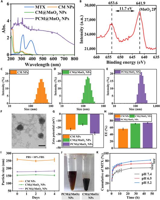 https://cdn.ncbi.nlm.nih.gov/pmc/blobs/3a78/12076153/dff1eb1f37c9/bmr.0187.fig.002.jpg