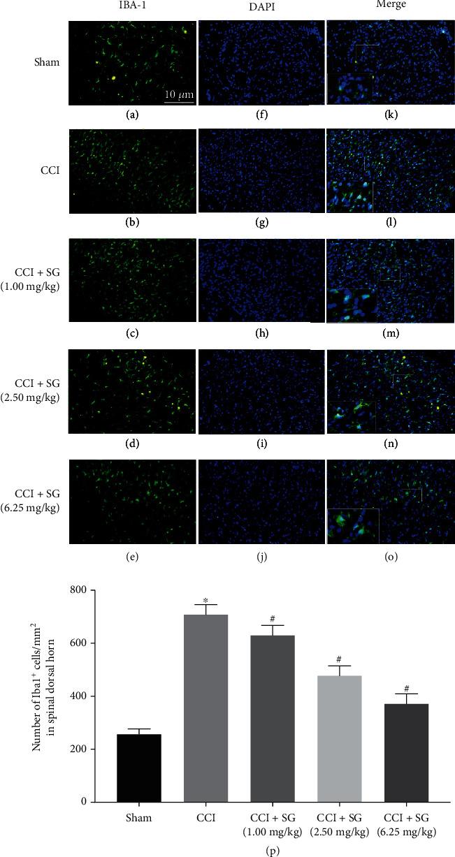 https://cdn.ncbi.nlm.nih.gov/pmc/blobs/3a79/8366402/8fa19900864f/BMRI2021-3689829.003.jpg