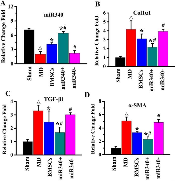 https://cdn.ncbi.nlm.nih.gov/pmc/blobs/3a7a/6550064/df9f259171eb/biolopen-8-039958-g6.jpg