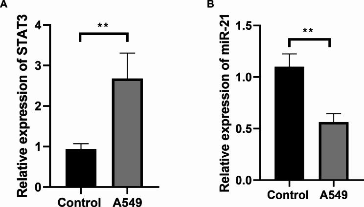 https://cdn.ncbi.nlm.nih.gov/pmc/blobs/3a7b/11437775/20a51b799601/12890_2024_3206_Fig8_HTML.jpg